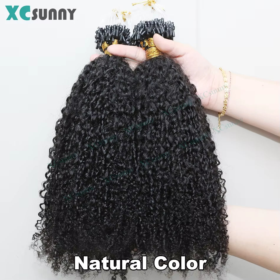 Micrlink Hair Extensions Human Hair Kinky Curly for Black Women Double Drawn Micro Ring Loop Hair Extensions Human Hair Color 4