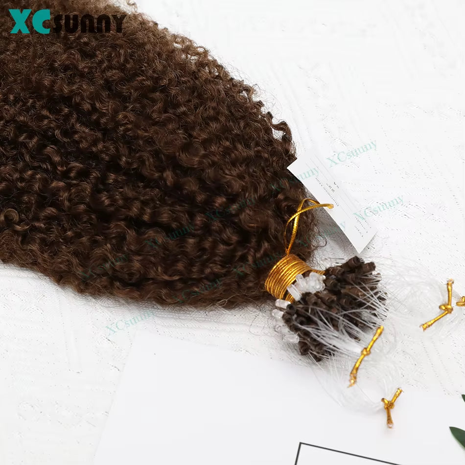 Micrlink Hair Extensions Human Hair Kinky Curly for Black Women Double Drawn Micro Ring Loop Hair Extensions Human Hair Color 4